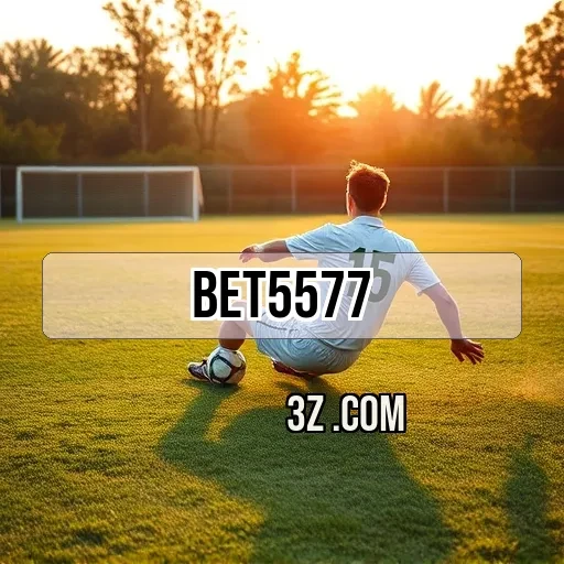 Explore a Comunidade no bet5577 login: Junte-se à Diversão